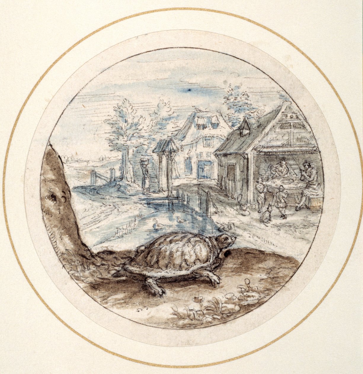 Skilpadde, tidlig på 1600-tallet (penn og brunt blekk med brune og blå vasker) av Crispin I de Passe