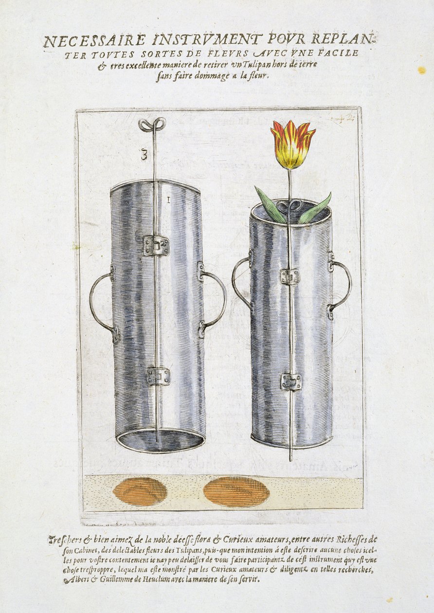 Enhet for å plante blomster på nytt, fra 