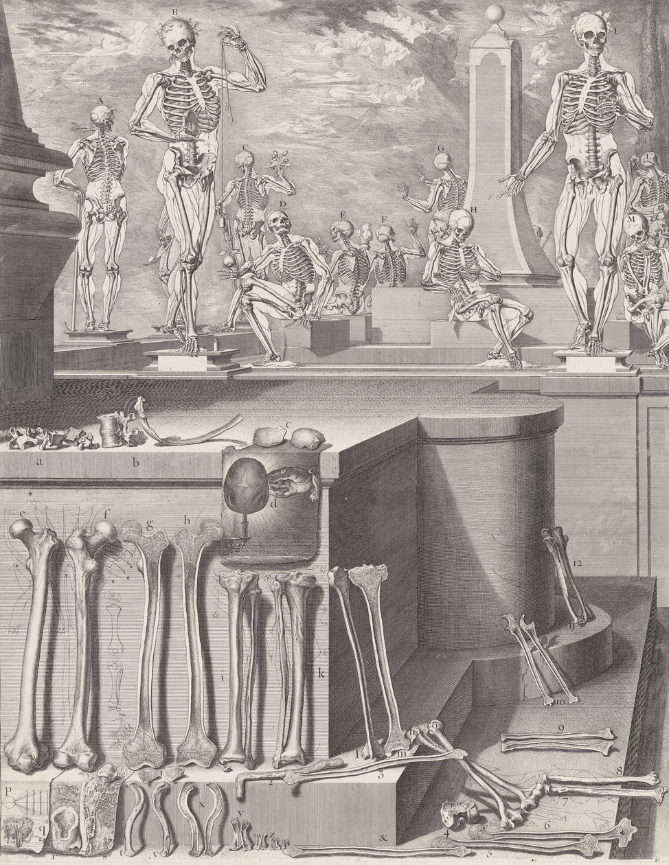 Plate for 