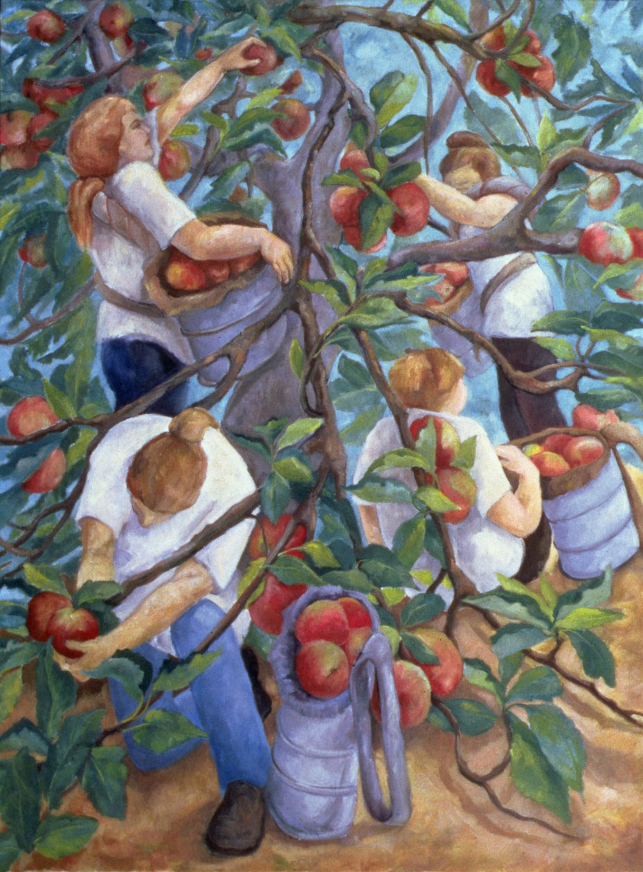 Epleplukkere, 1996 av Cristiana Angelini
