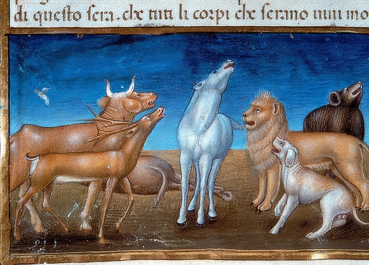 Verdens ende: og stjernene skal falle fra himmelen og dyrene skal bli redde (c.149v). 1476 av Cristoforo De Predis