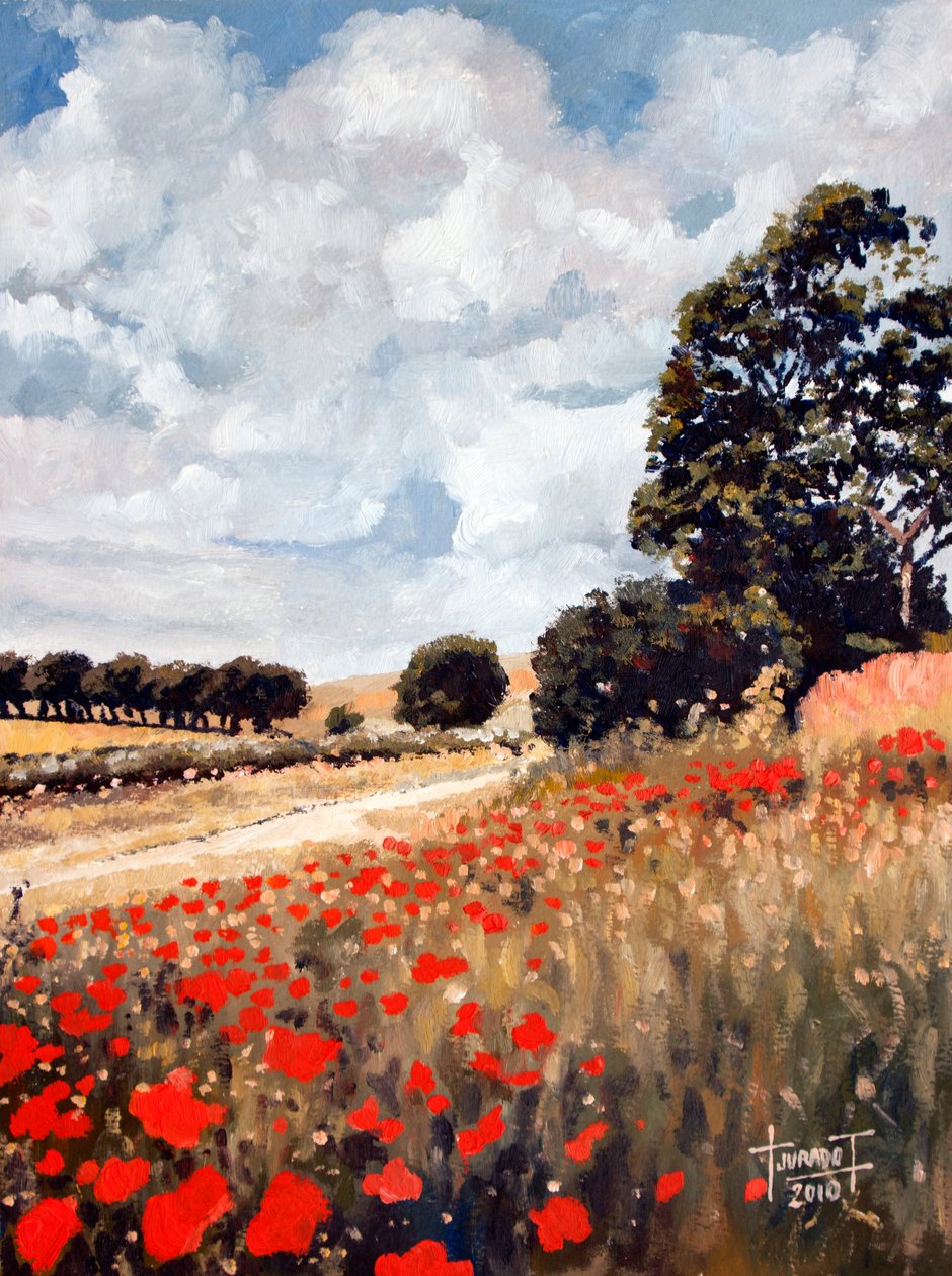 Wild Poppies, Hertfordshire, 2010 (olje på papir) av Cruz Jurado Traverso
