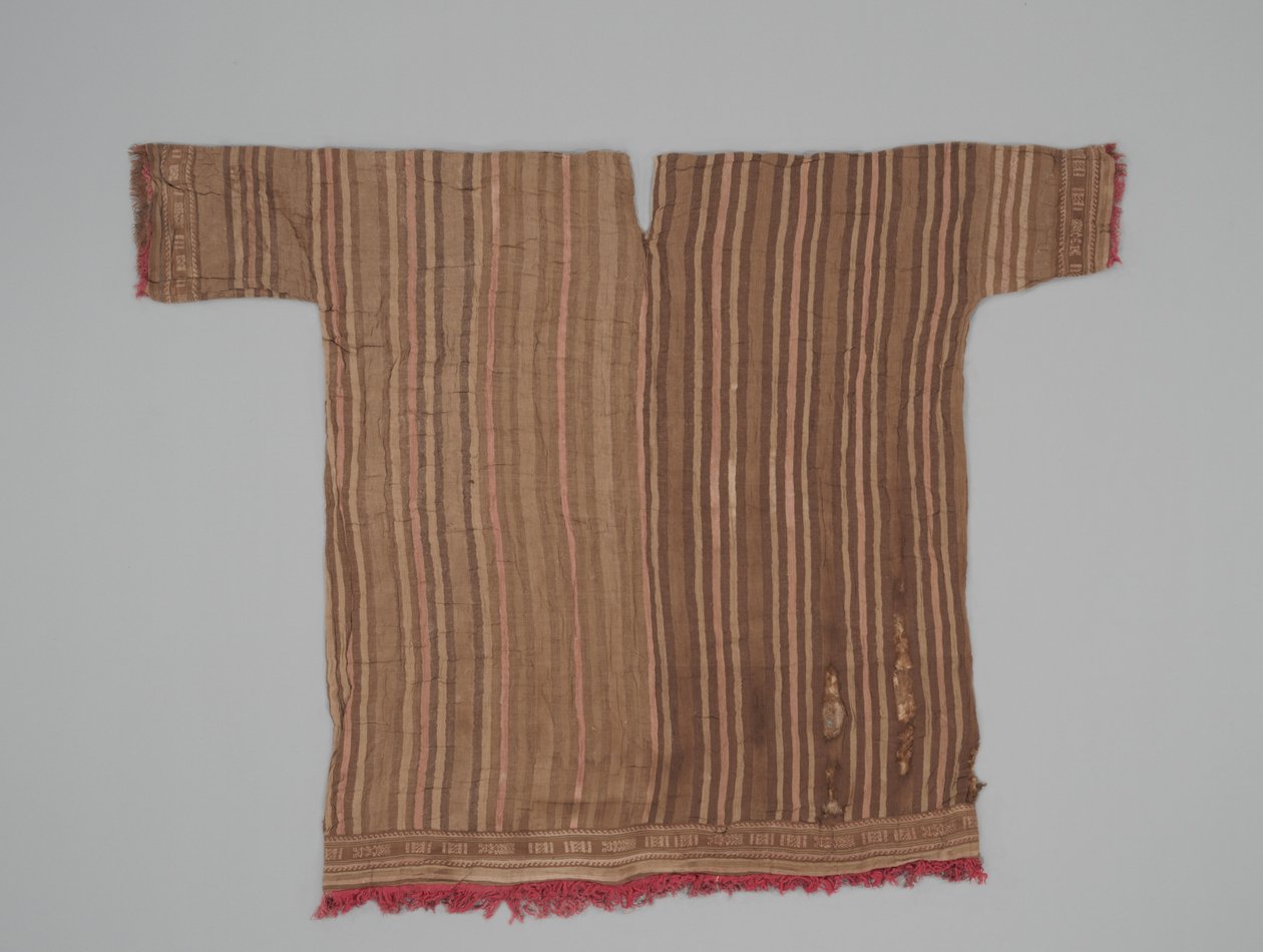 Tunika med ermer, ca. 1300-1470 (bomull og kamelfibre) av Culture Chimu