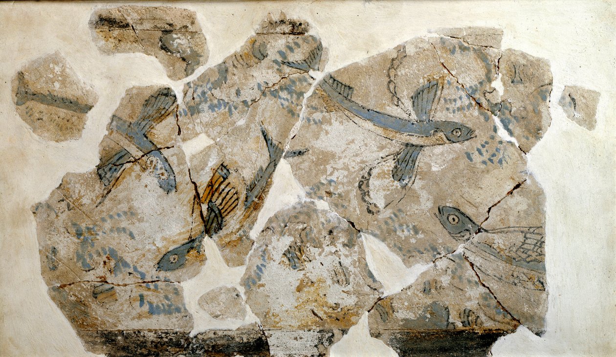 Kykladisk kunst: fragment av freskomaleri som viser flygende fisk (havssvaler). fra stedet for Phylakopi (øya Melos) 2500 f.Kr. Dim. 23 cm Athen, nasjonalt arkeologisk museum - kykladisk kunst: fragmenter av en freske som viser flygende fisk (terner), fra  av Cycladic