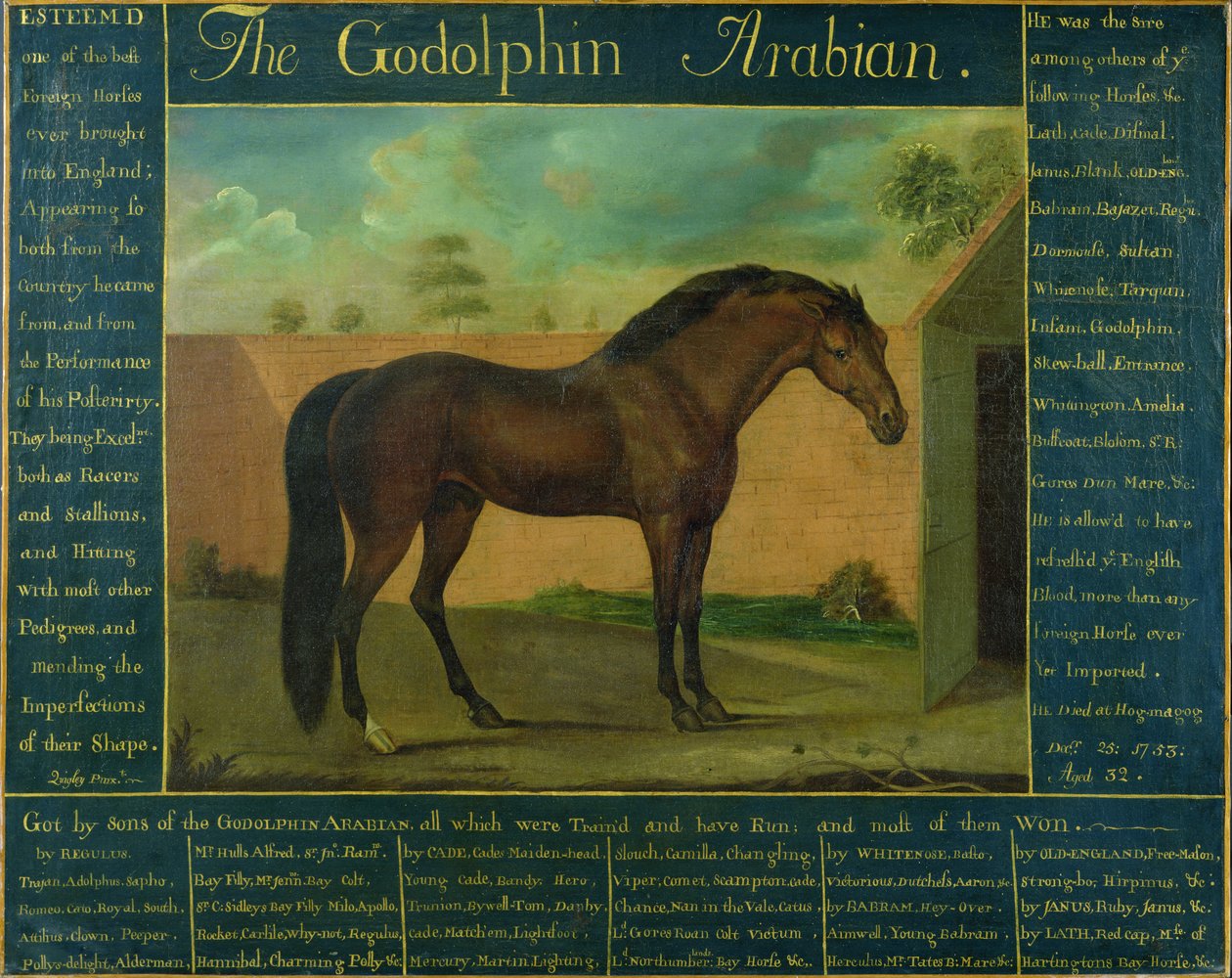 Godolphin-araberen av D. Quigley