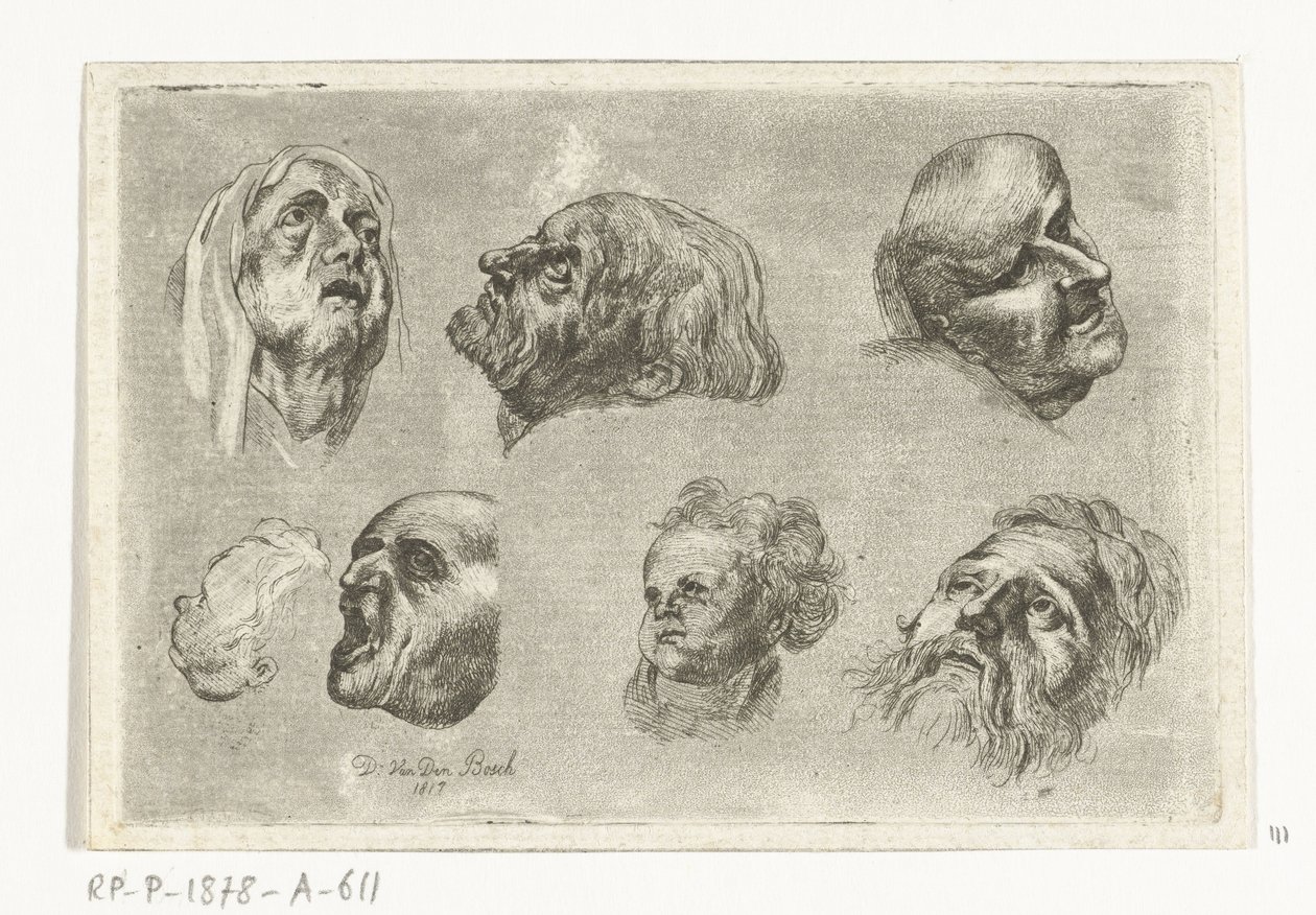 Studieark med syv hoder i to rader av D. van den Bosch