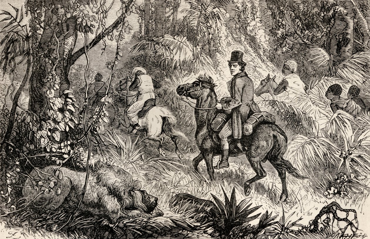 Mungo Park møter en løve mens han var på vei til landsbyen Modiboo, 1825 av Dalziel Brothers
