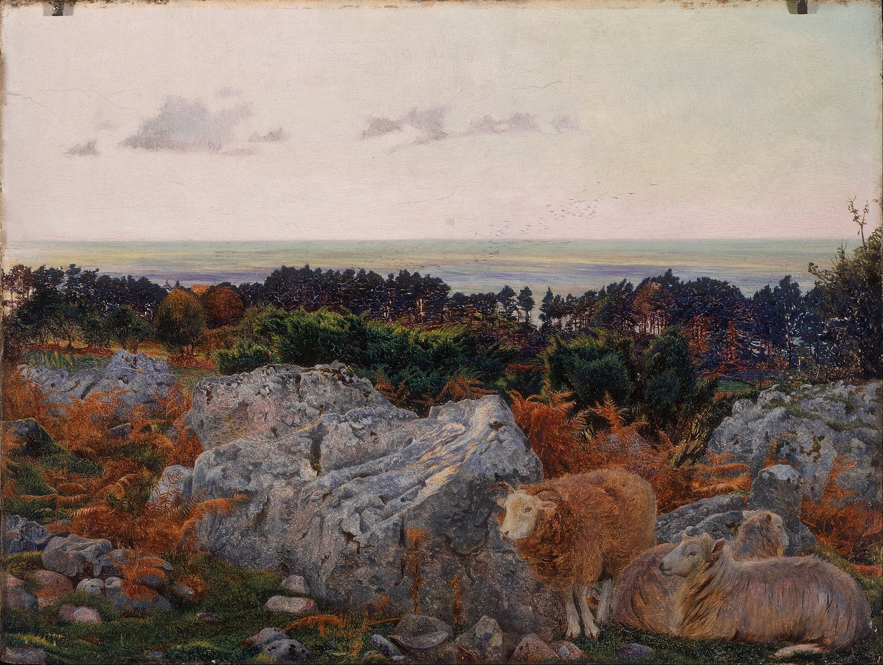 Morecambe Bay fra Warton Crag av Daniel Alexander Williamson