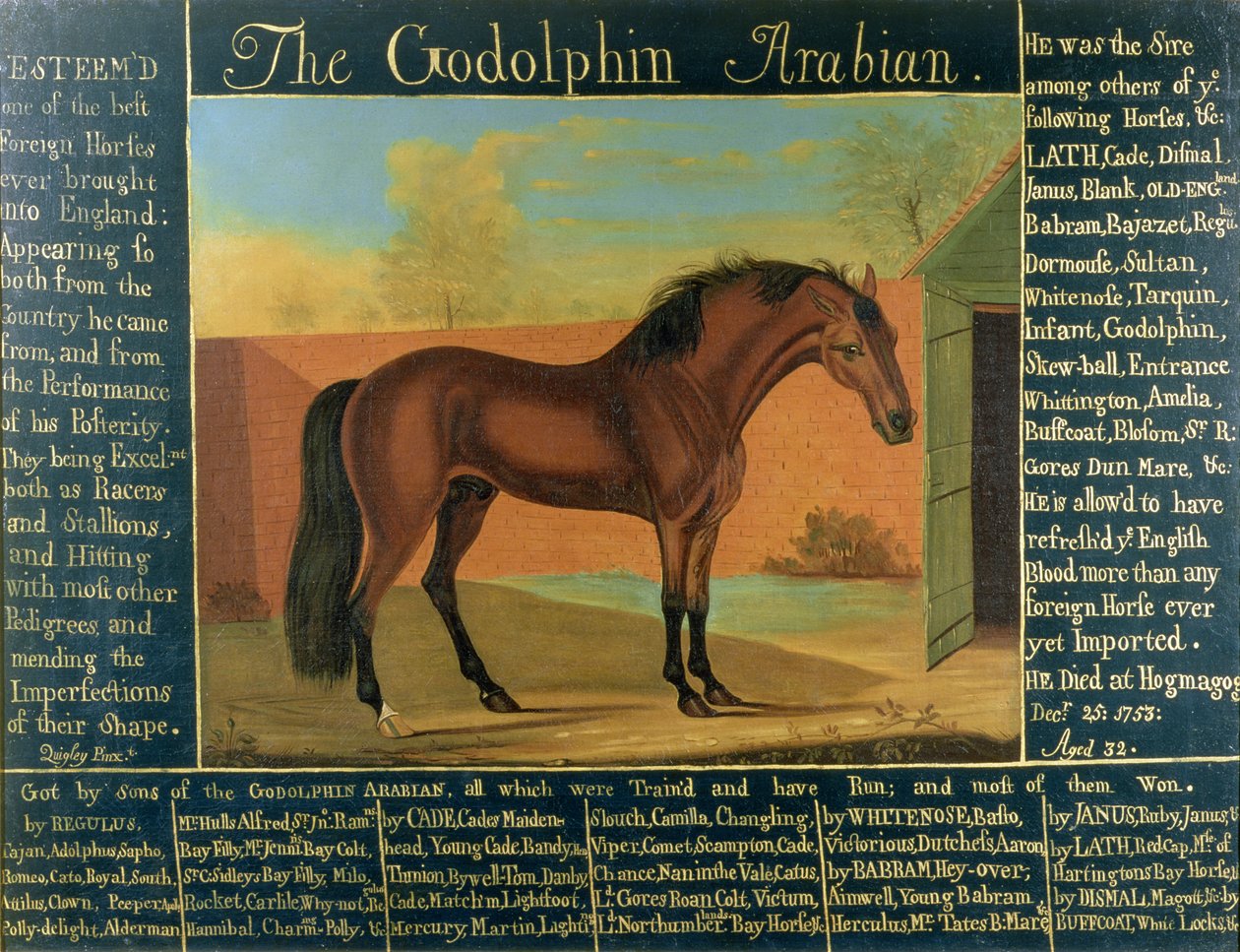 Godolphin-araberen av Daniel Quigley