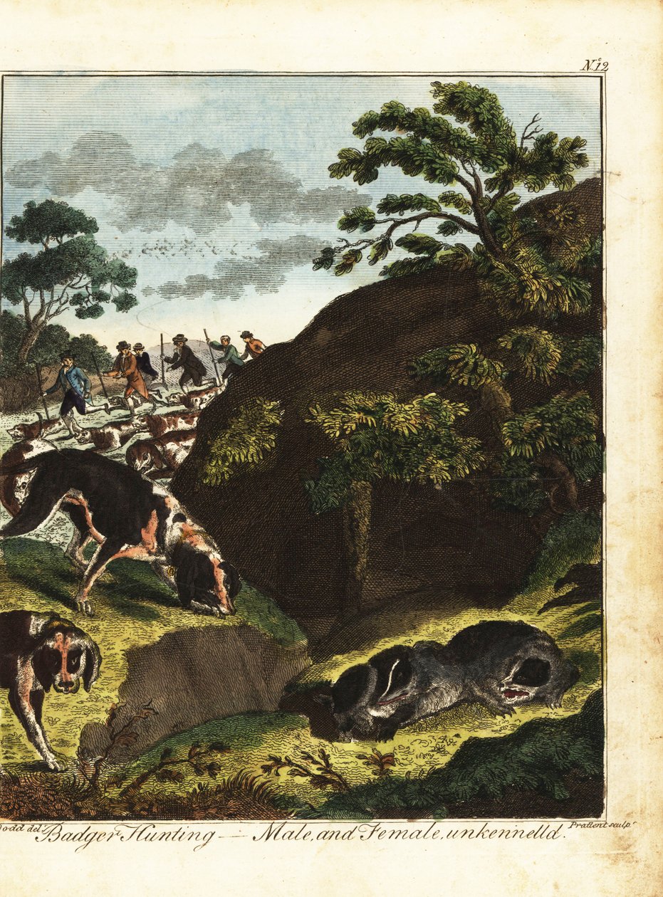 Væpnede menn som jakter på grevling, England av Daniel (after) Dodd