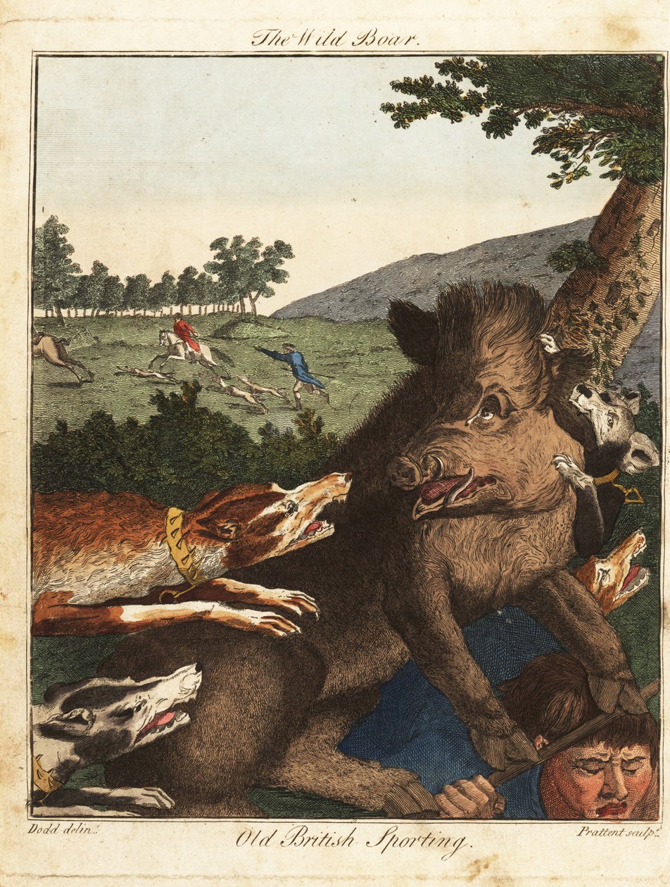 Jegere og hunder jakter et villsvin i England av Daniel (after) Dodd