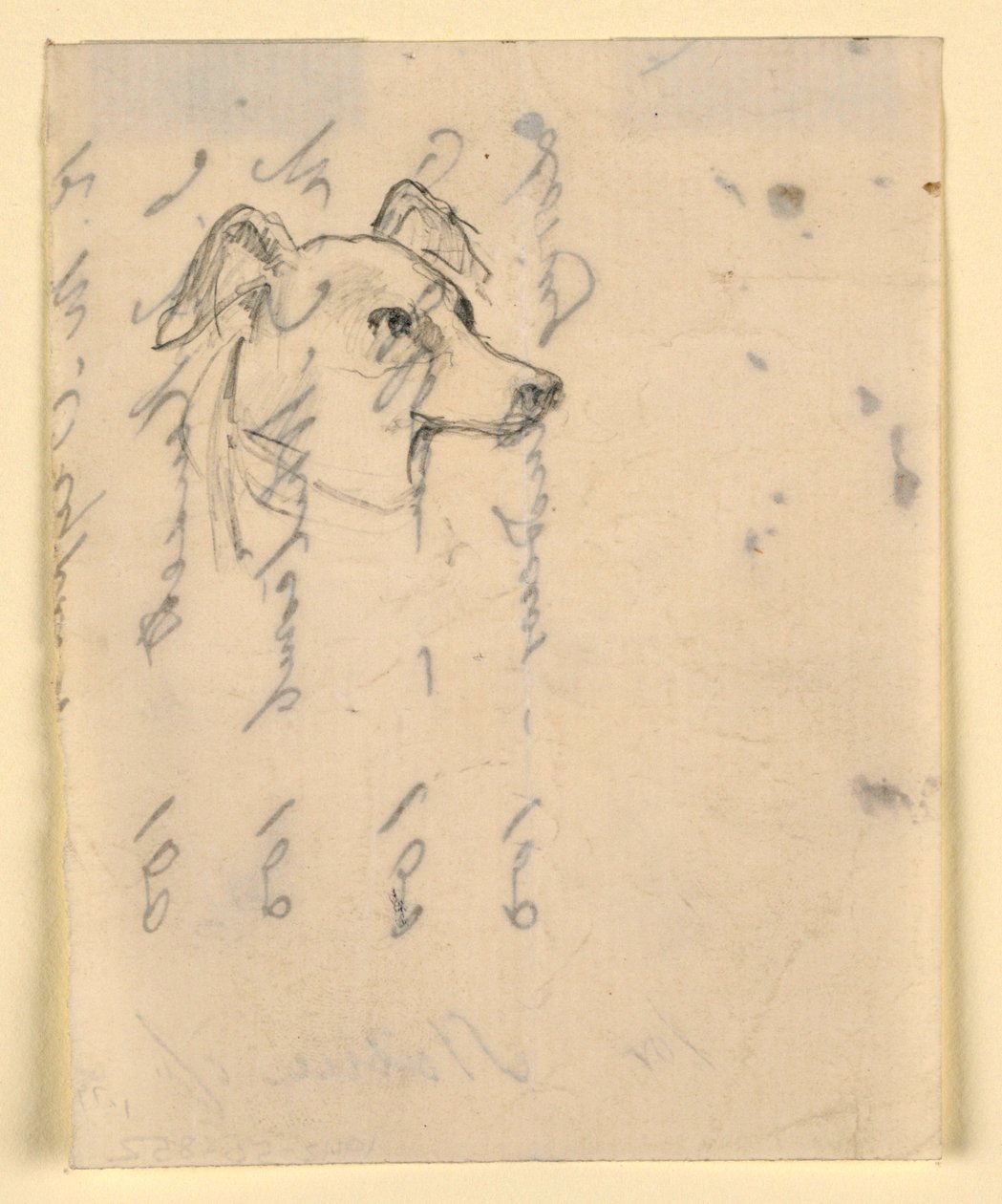 Tegning, hundehode, sannsynligvis Milo (en pekerhund), ca. 1862 av Daniel Huntington