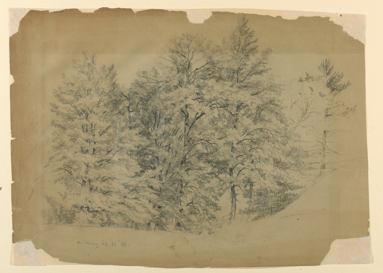 Study of Trees, North Conway, New Hampshire   1261925   no       norwegian Successfully Translated  Original: Sac de Rome en 455 : Genseric (ou Geiseric) (vers 399-477) et les Vandales envahissent Rome (Geiseric the Lame invades Rome). Ils pillent la ville av Daniel Huntington