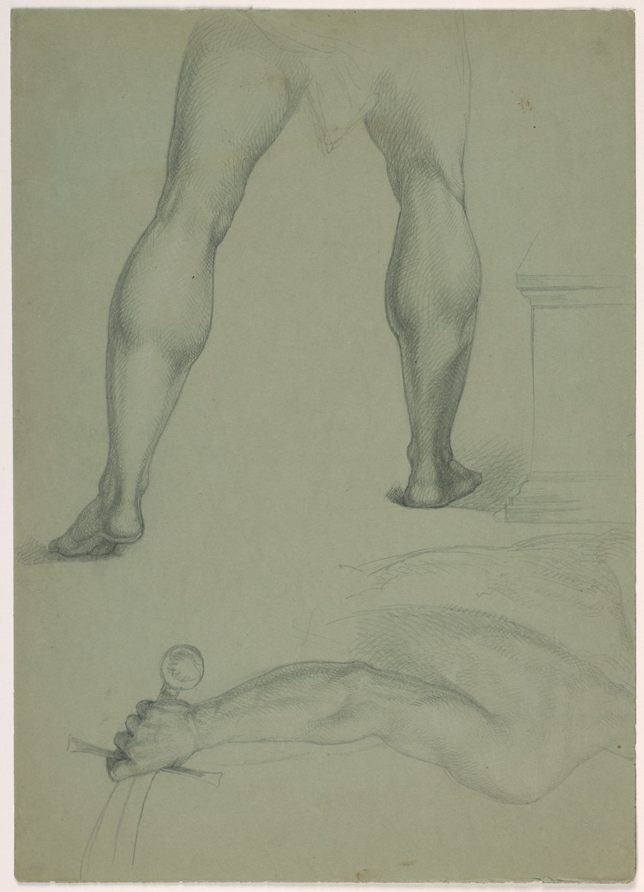 To partielle anatomiske studier av Daniel Huntington