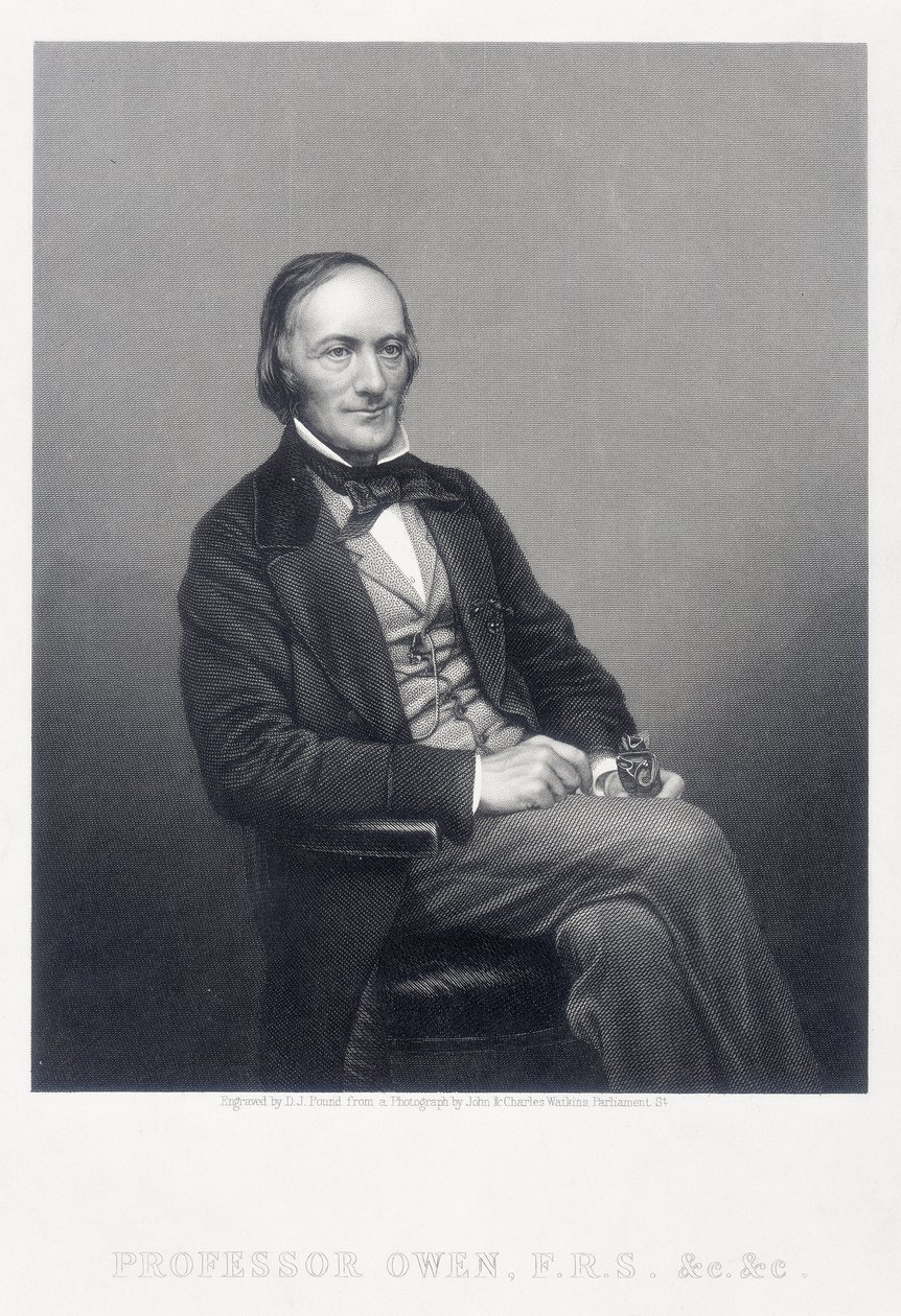 Sir Richard Owen, engelsk zoolog, c1860. av Daniel John Pound