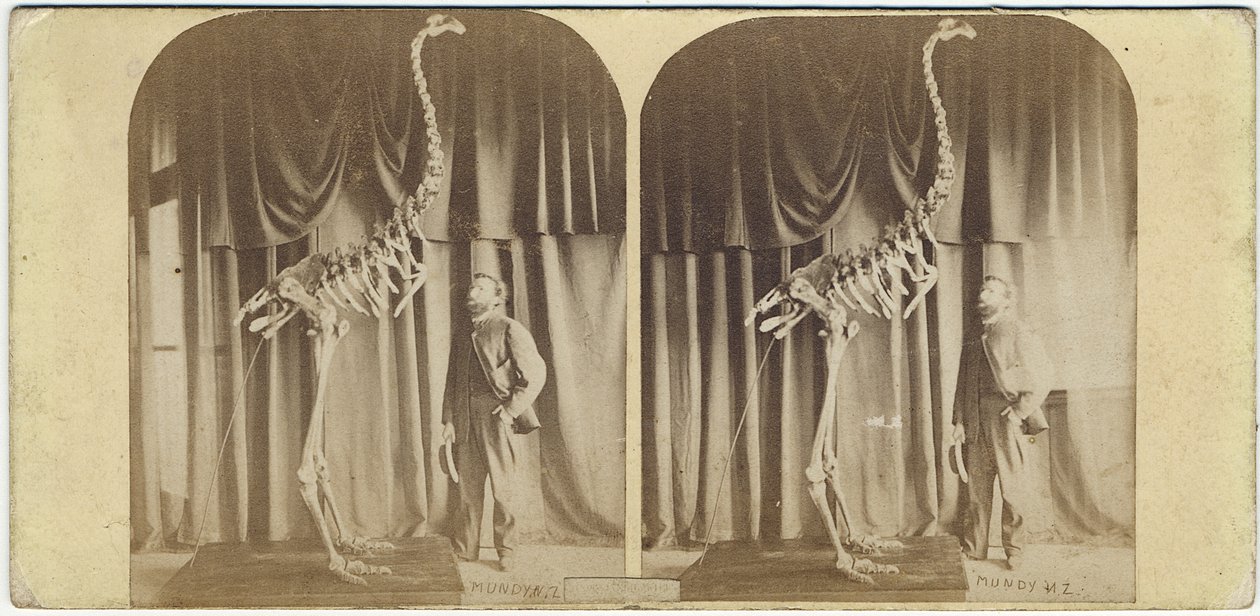 Julius von Haast og Moa, Canterbury Museum, ca. 1867 (albumtrykk) av Daniel Louis Mundy
