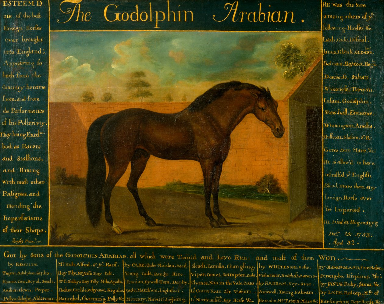 Godolphin-araberen av Daniel Quigley