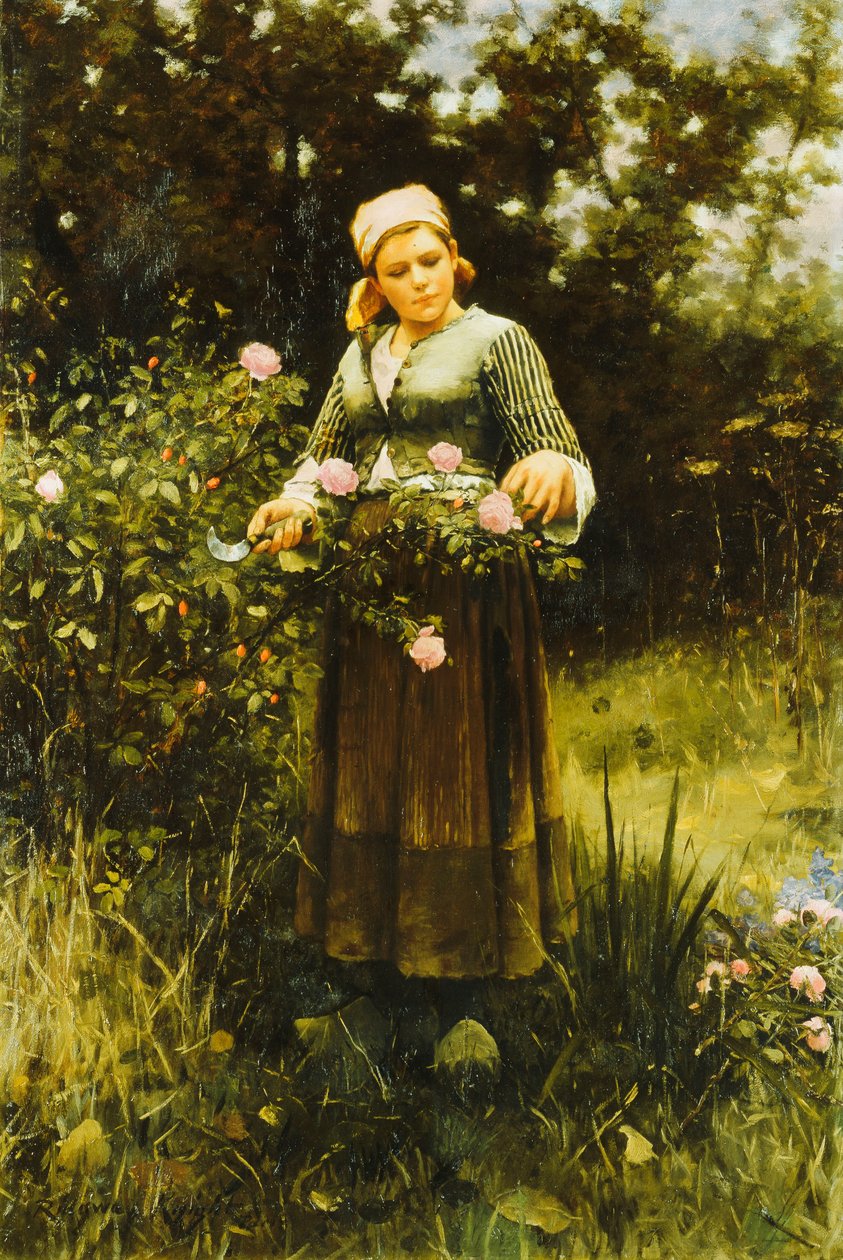 Samler roser, av Daniel Ridgway Knight