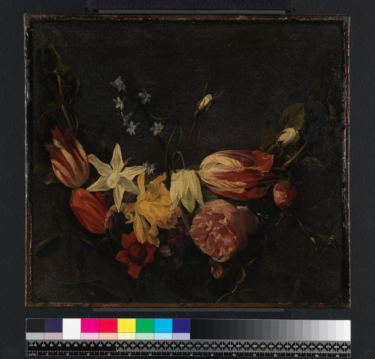 Festong av blomster, før 1661 av Daniel Seghers