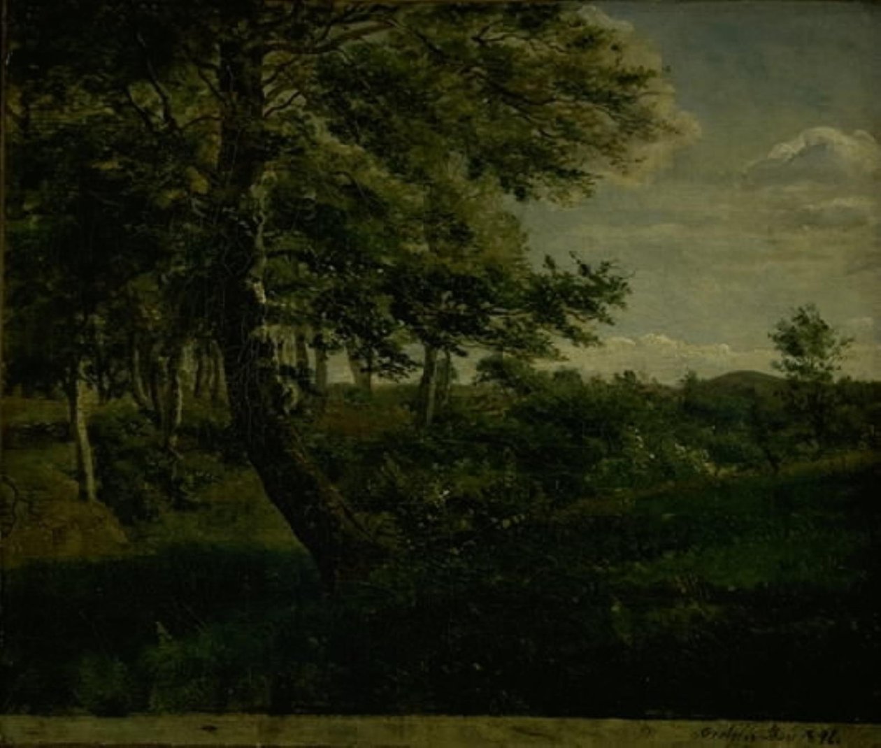 Ørsbjerg Skog ved Aarup, Fyn av Dankvart Dreyer
