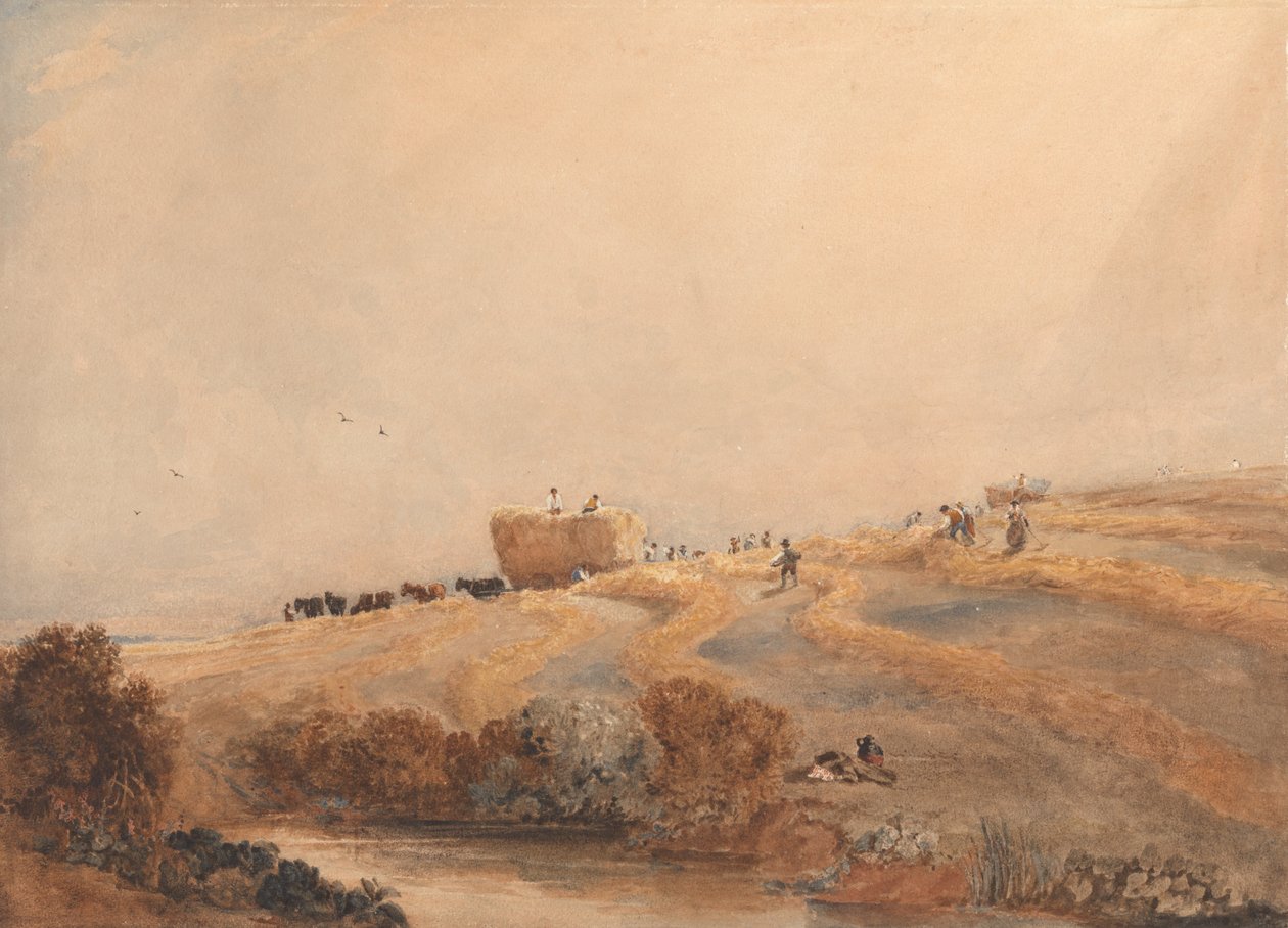 Slått av David Cox