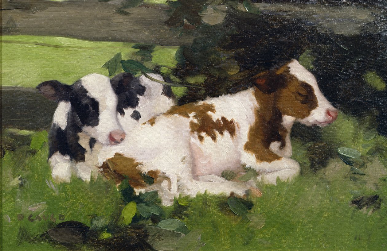 Ayrshire Calves, ca. 1890 av David Gauld