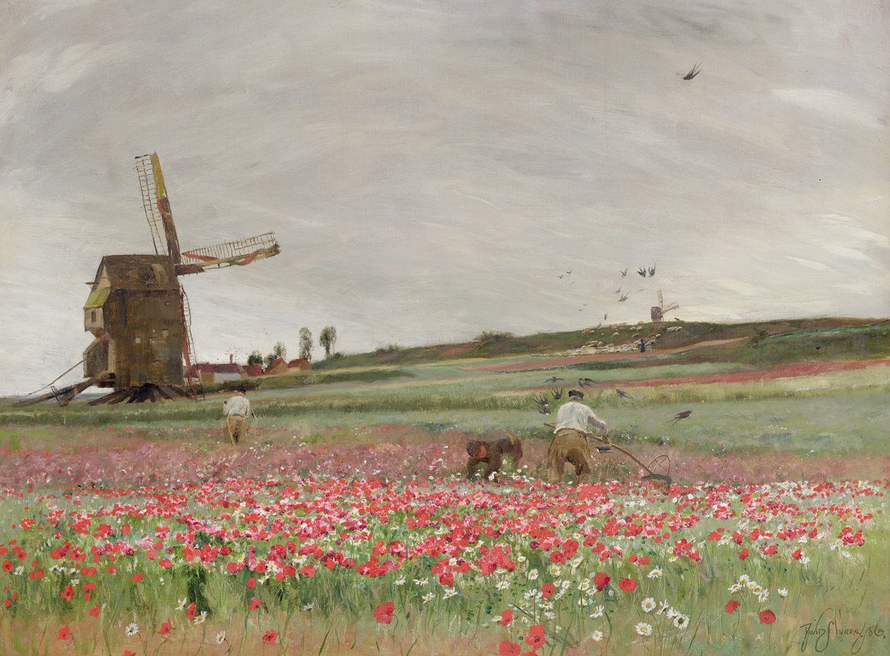 Valmuemark, 1886 av David Murray
