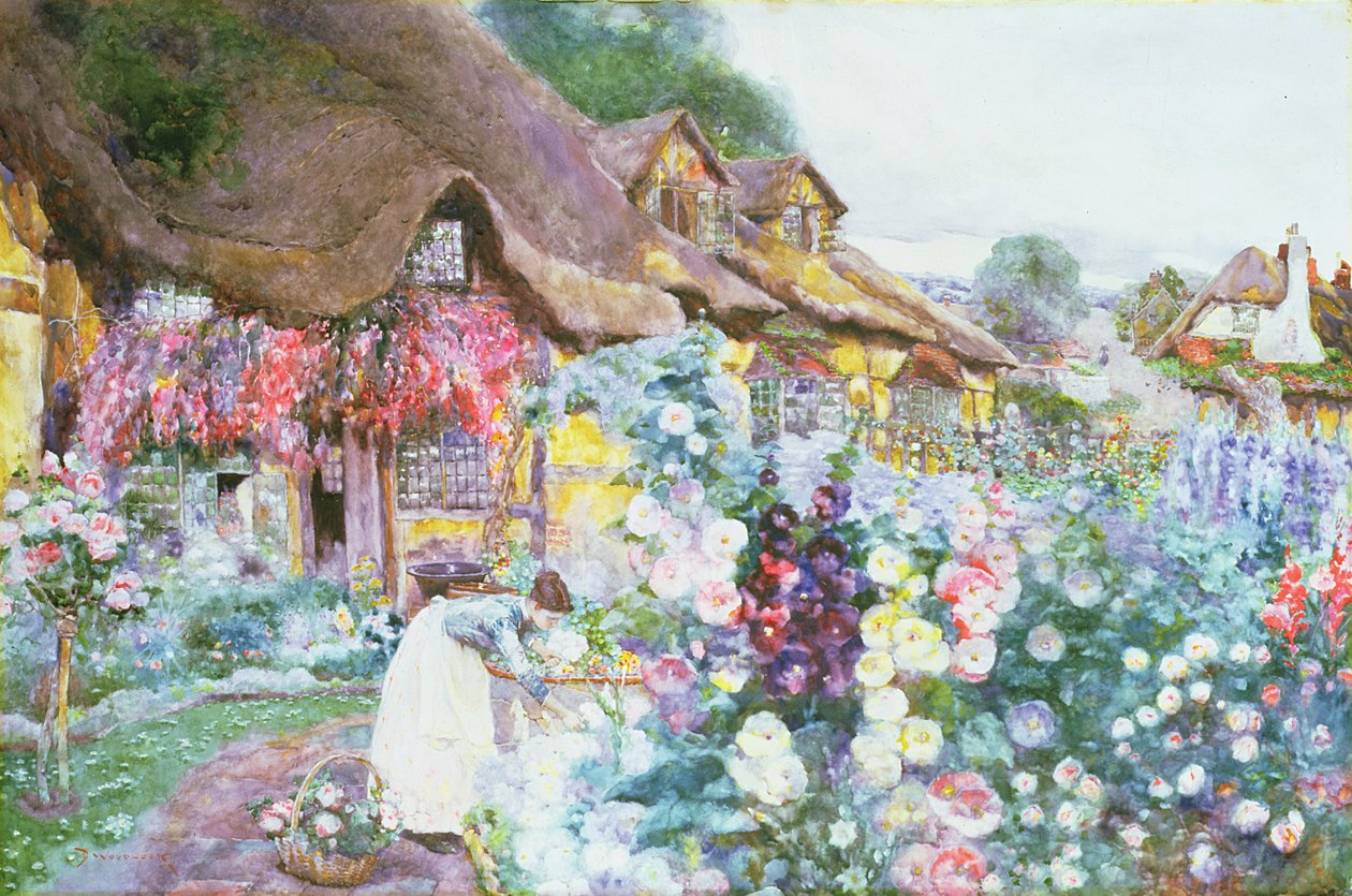 Hyttehagen av David Woodlock