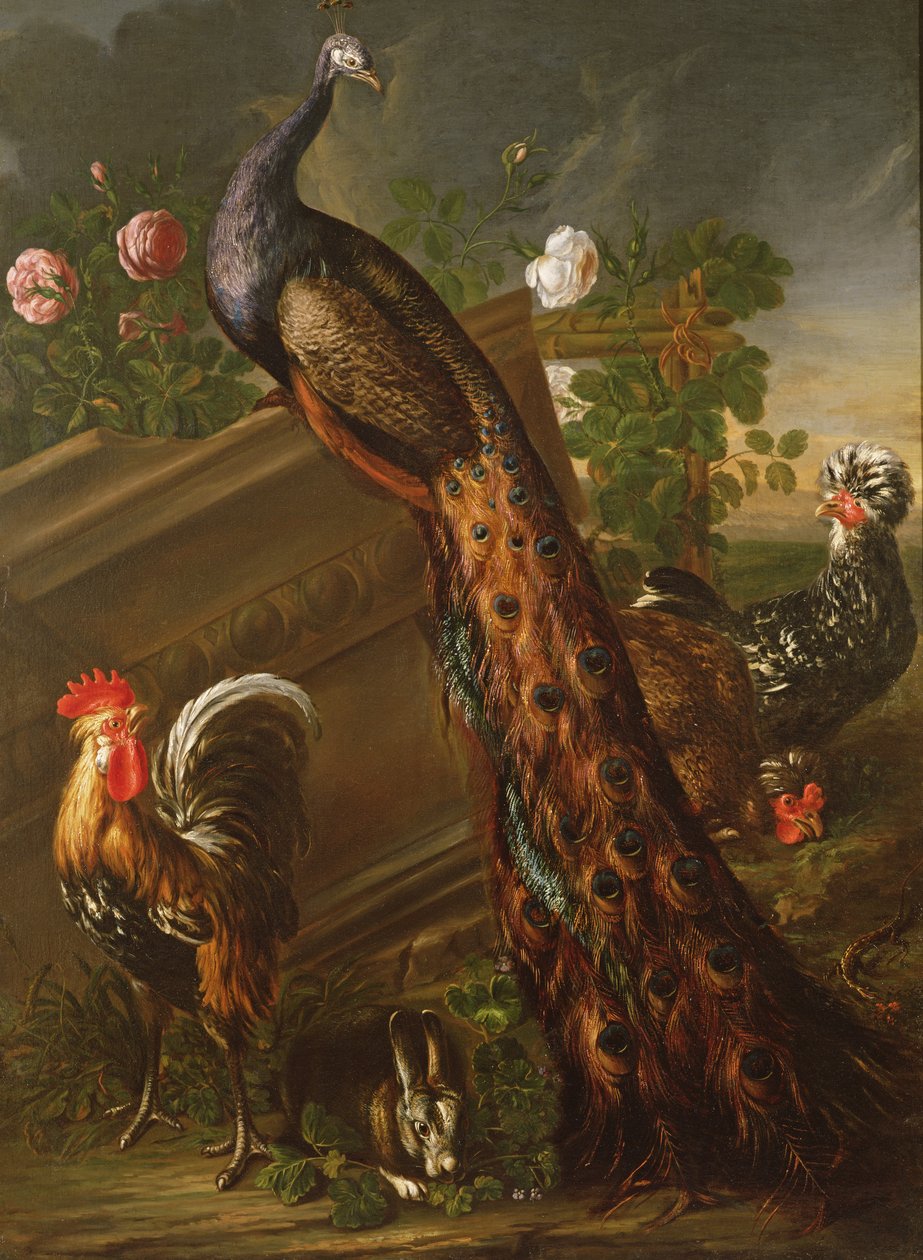 Påfugl og haner, 1600-tallet av David de Koninck