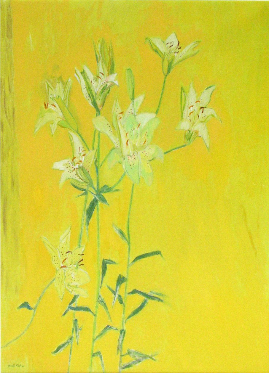Lillies on Yellow (olje på lerret) av David Alan Redpath Michie