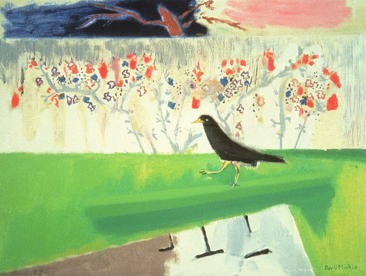 Mynah and Roses (olje på lerret) av David Alan Redpath Michie