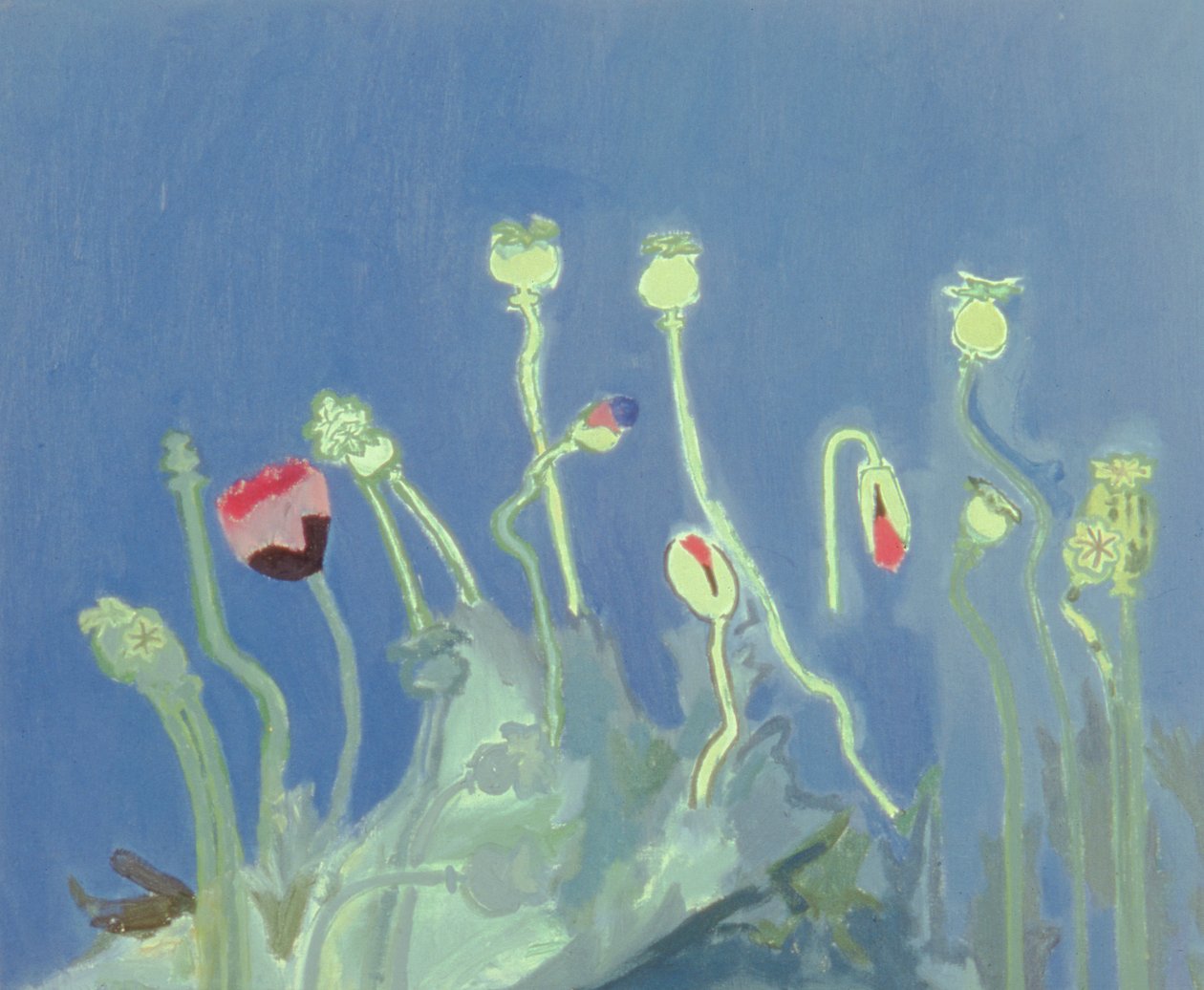 Poppyheads (olje på lerret) av David Alan Redpath Michie