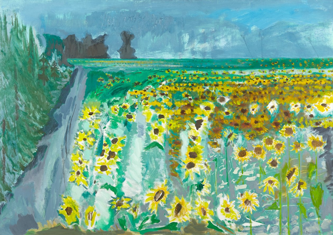 Sunflowers and Mistral, 2002 (olje på lerret) av David Alan Redpath Michie