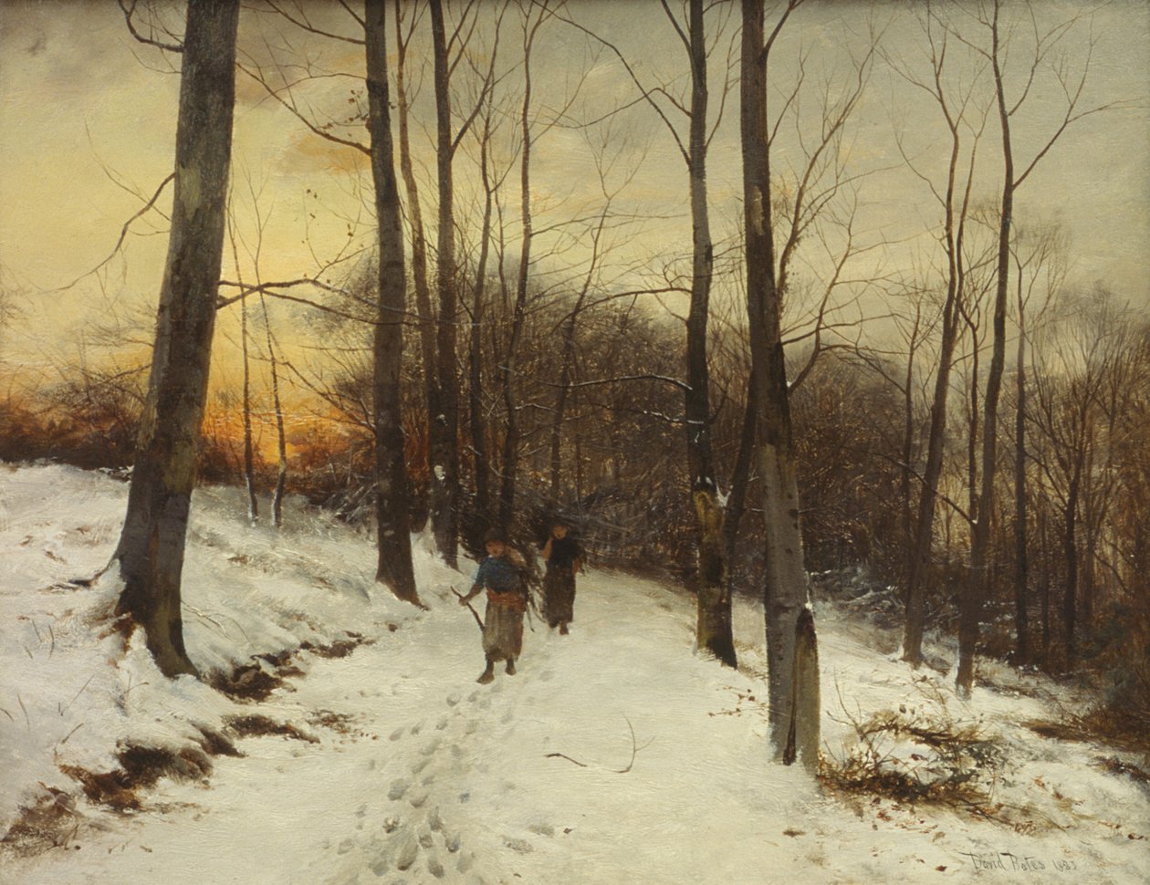 Malvern Woods (olje) av David Bates