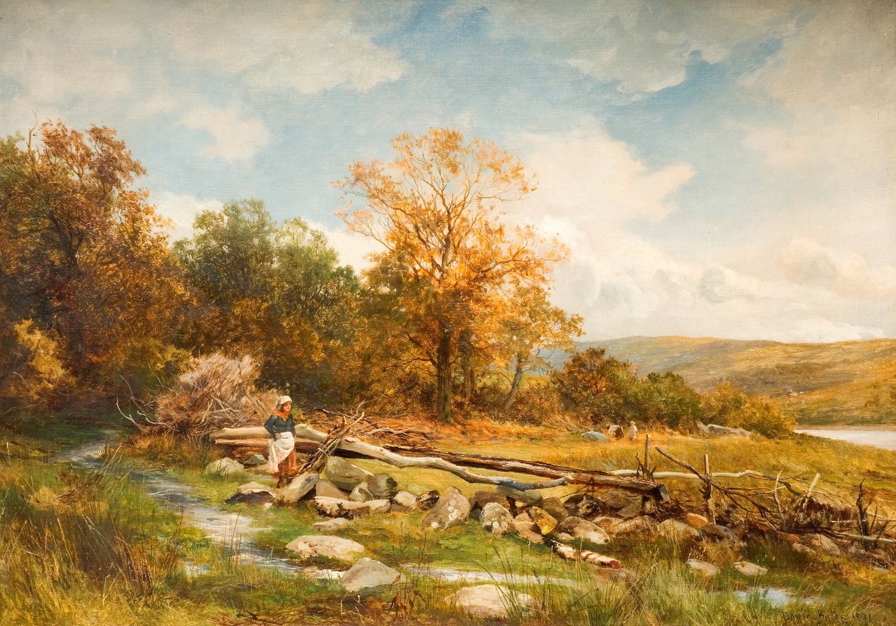 Tidevannsgjerde ved elven Conwy i Bachlediog, 1891 99 elv; Conwy; Conway; Tidevann gjerde; barriere; bachlediog; Afon Conwy; Conway; landskap; Wales; Walisisk; høst; høstlig; av David Bates