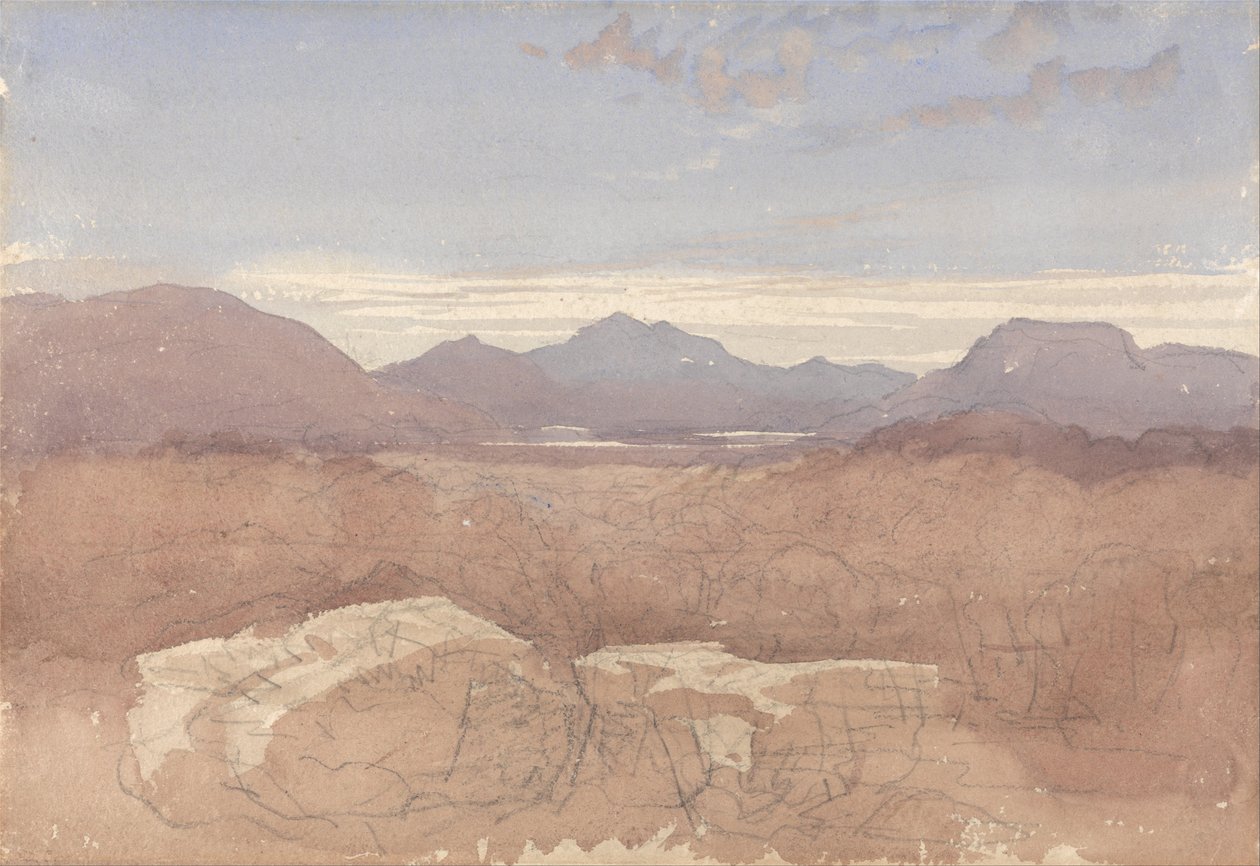  av David Cox
