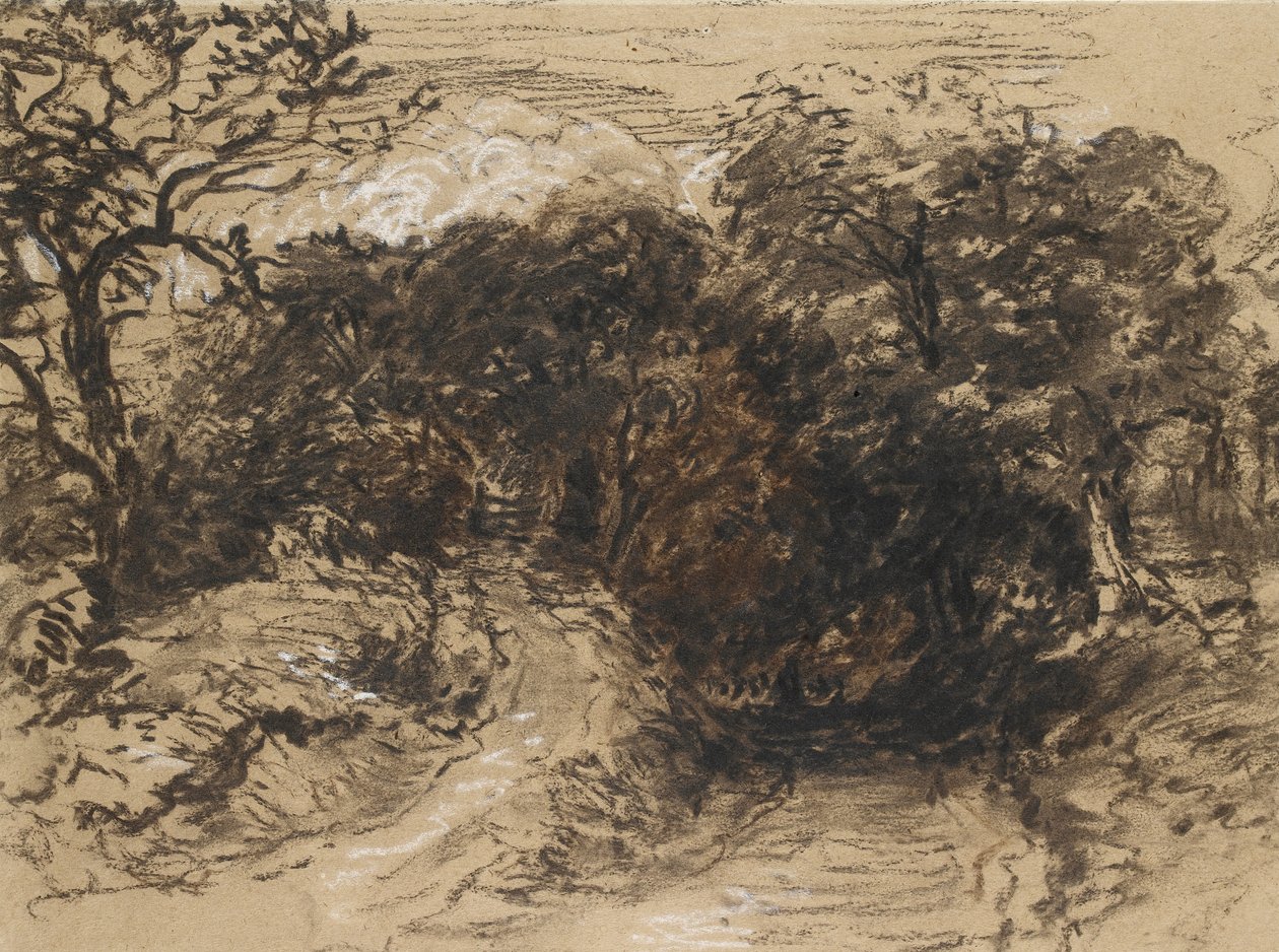 En hul Lane nær Harborne, Derbyshire (svart kritt med innslag av hvitt og litt brun vask) av David Cox