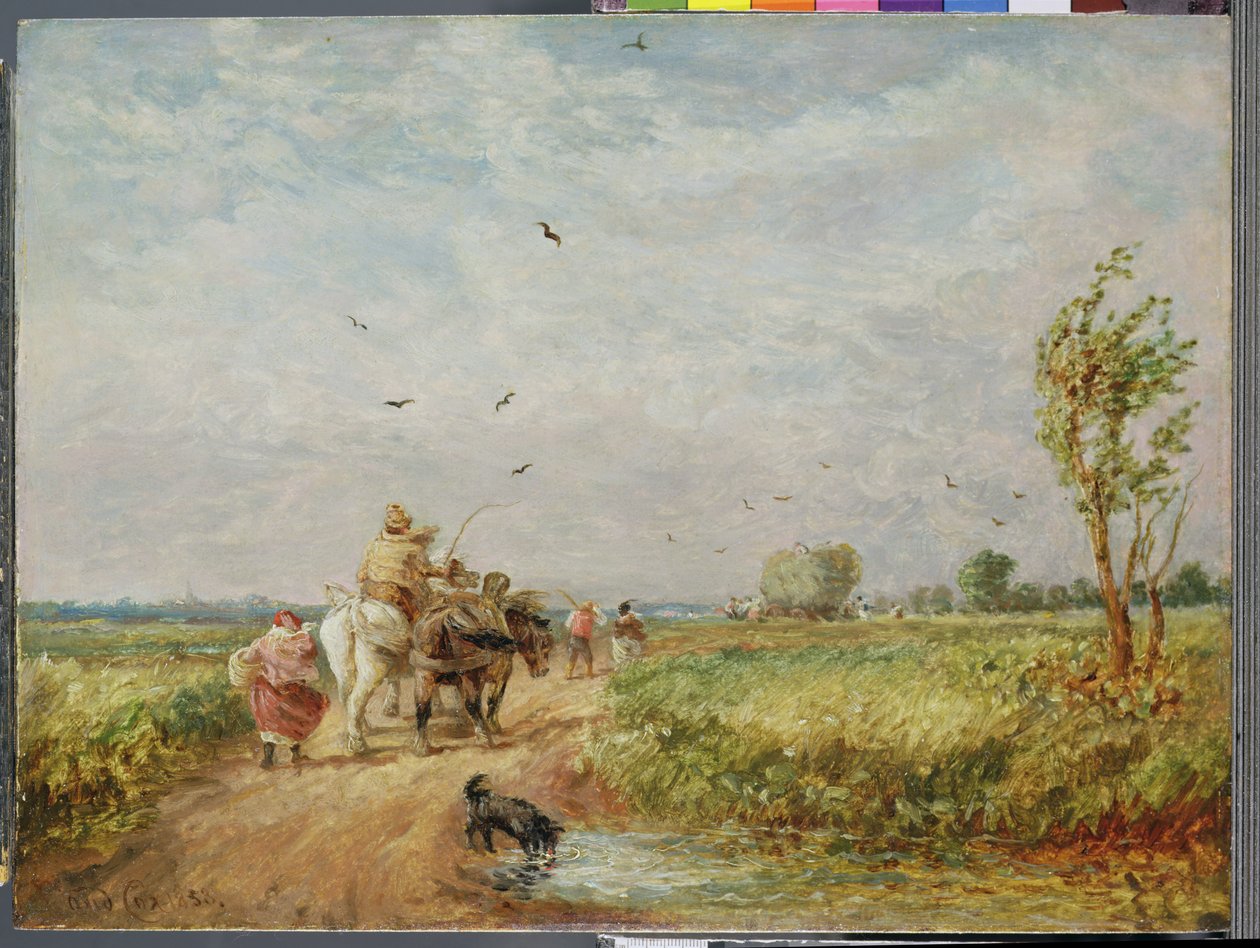 Skal til Hayfield av David Cox