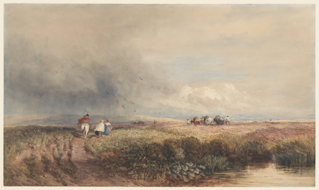 Reisen hjem av David Cox
