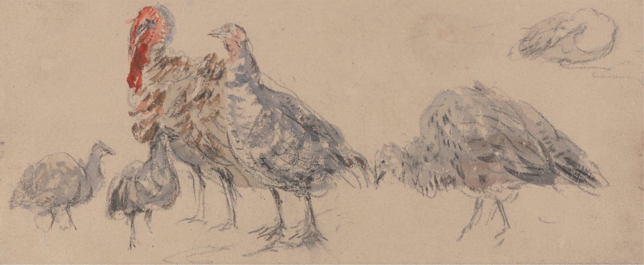 Studie av Tyrkia av David Cox