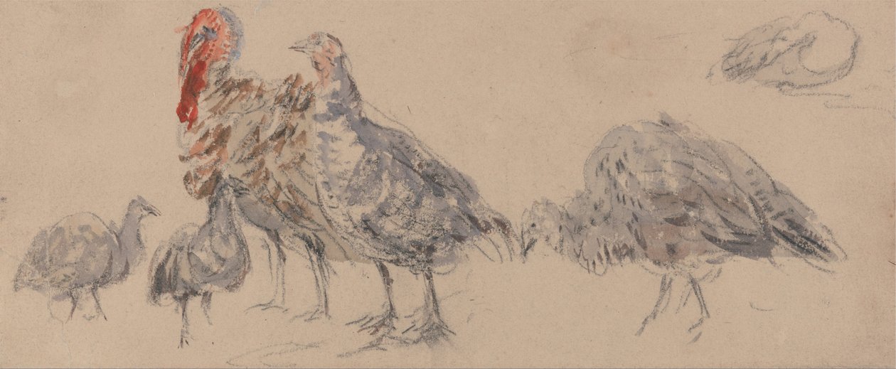  av David Cox