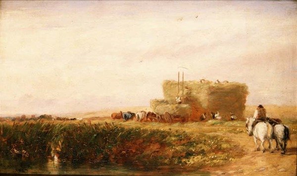 Hayfield av David Cox