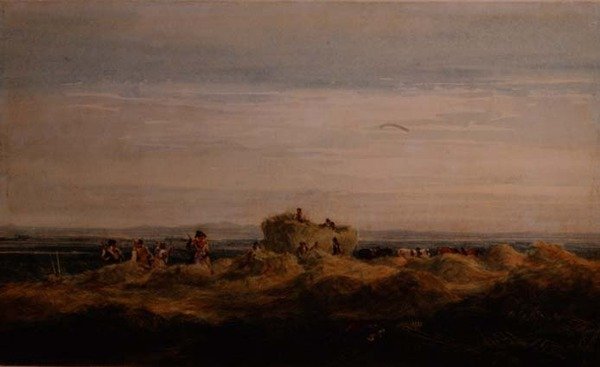 Hayfield av David Cox