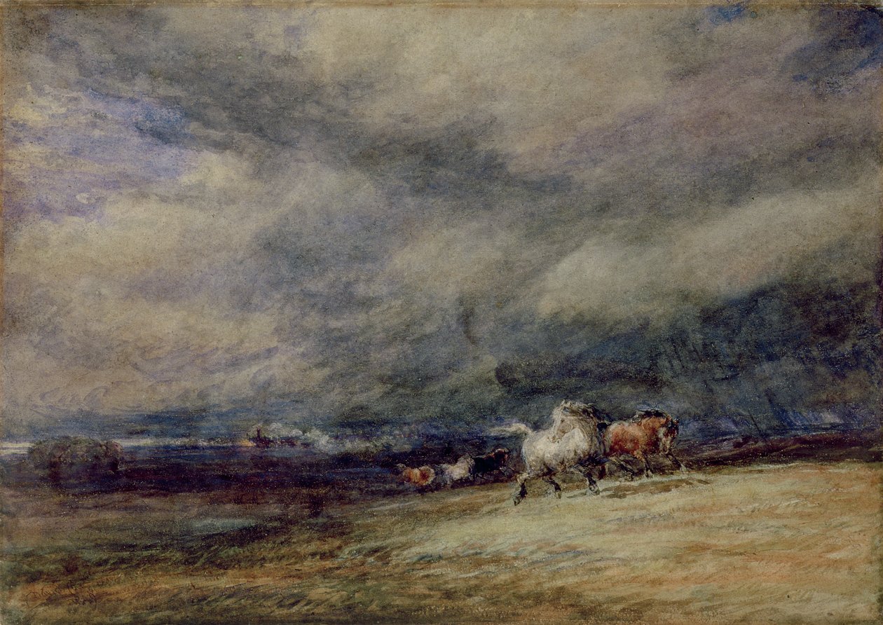 Natttoget av David Cox