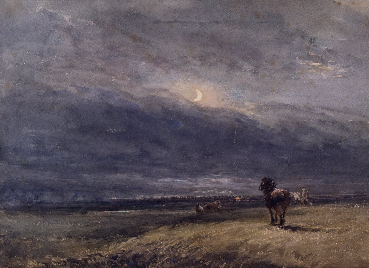Natttoget av David Cox