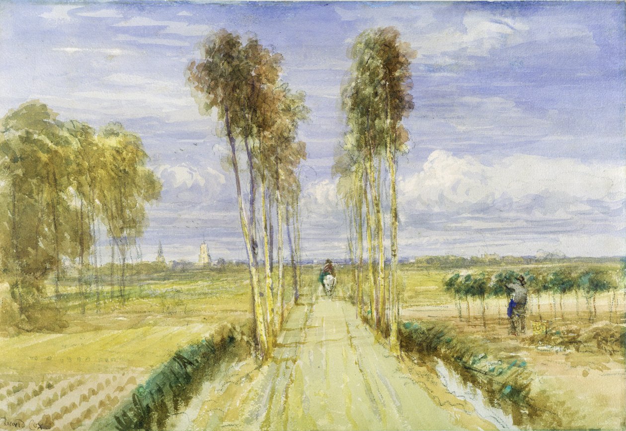 The Poplar Avenue (akvarell over blyant og svart kritt på papir) av David Cox