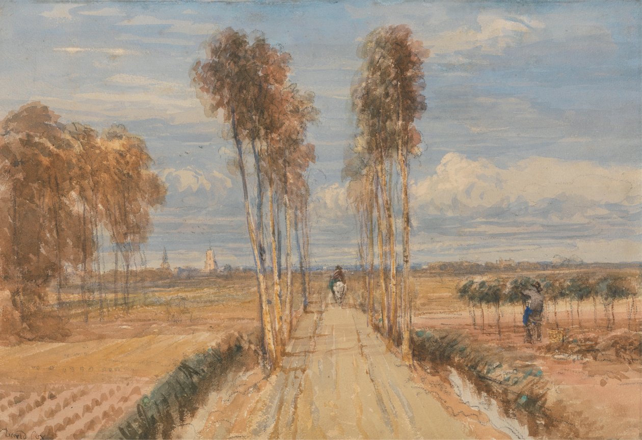 Poplar Avenue, etter Hobbema av David Cox