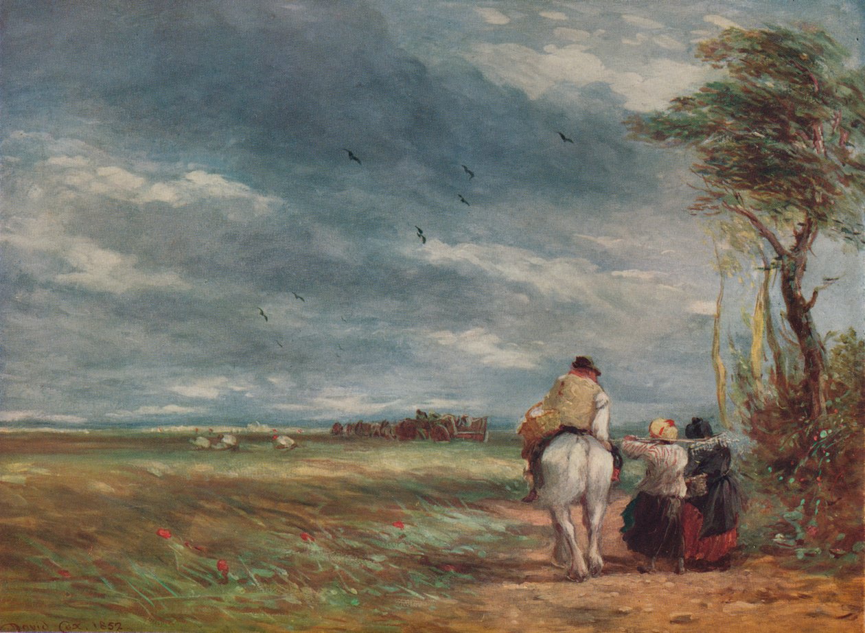 Skal til Hayfield, 1852 av David Cox the elder