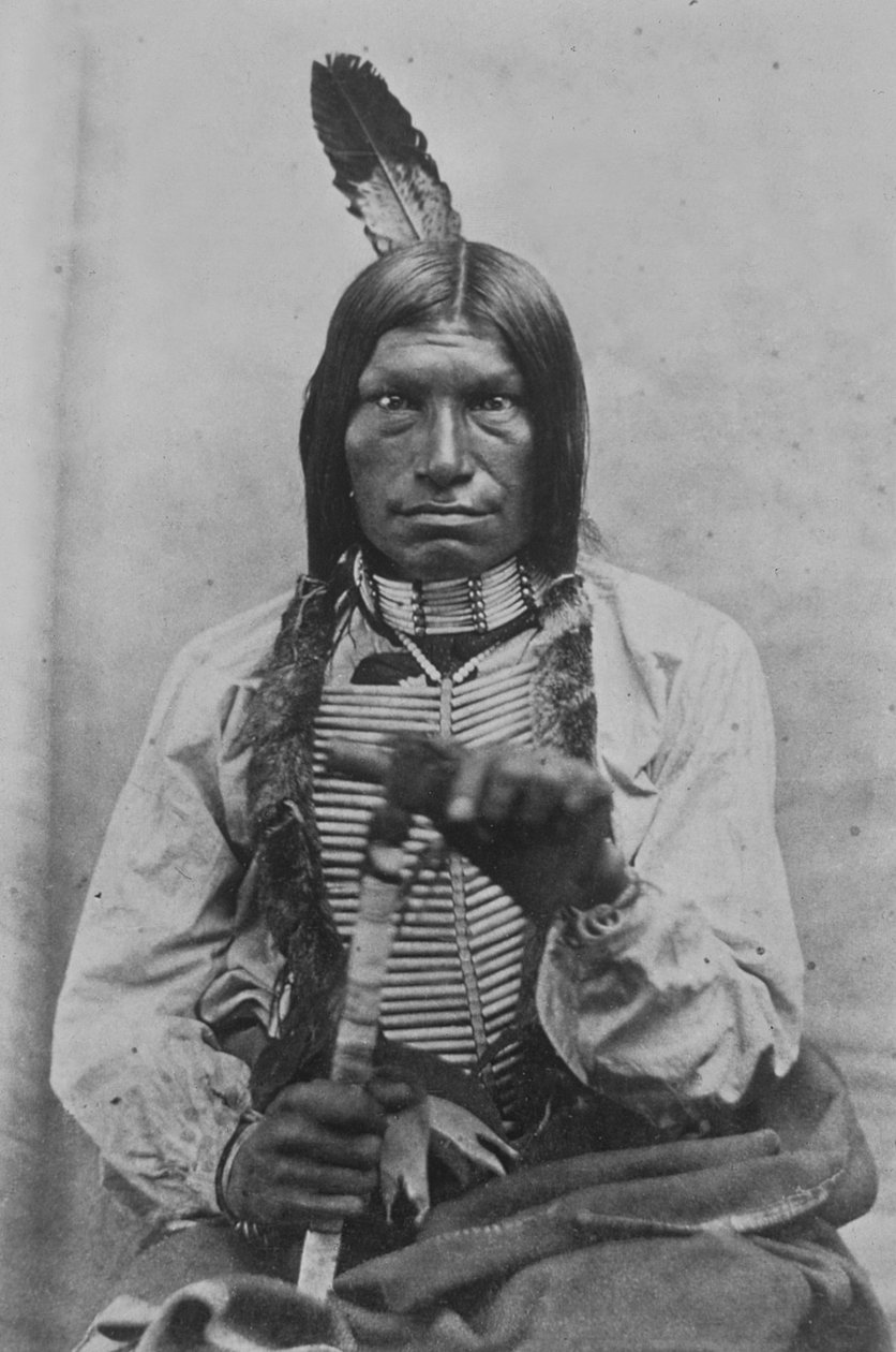 Low Dog War Chief (s/hvitt bilde) av David Frances Barry