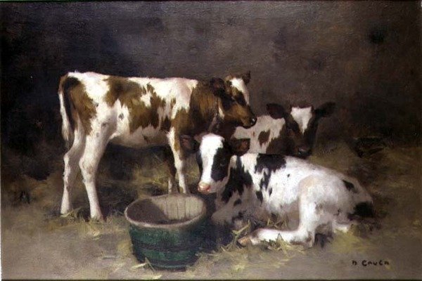 Tre kalver (olje på lerret) av David Gauld